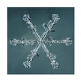 thumbnail image 1 of Print Collection 'Stellar Dendrite Snowflake 4' Canvas Art, 1 of 4