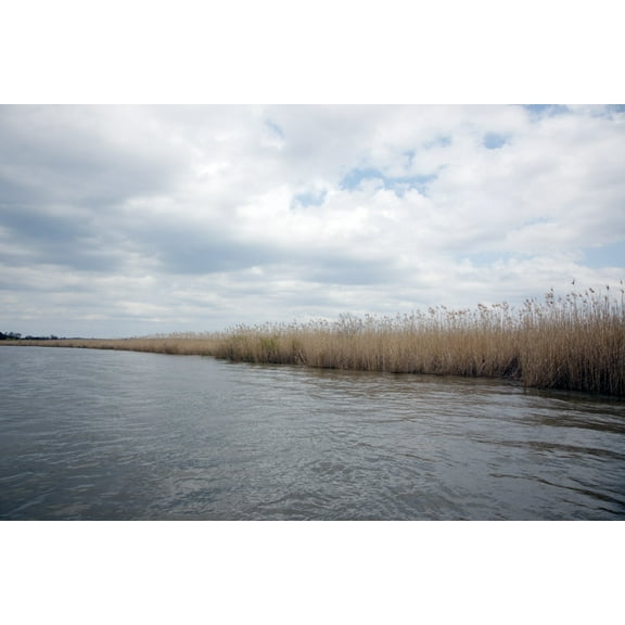 Print: Delta Waterway In Mobile, Alabama, 2010