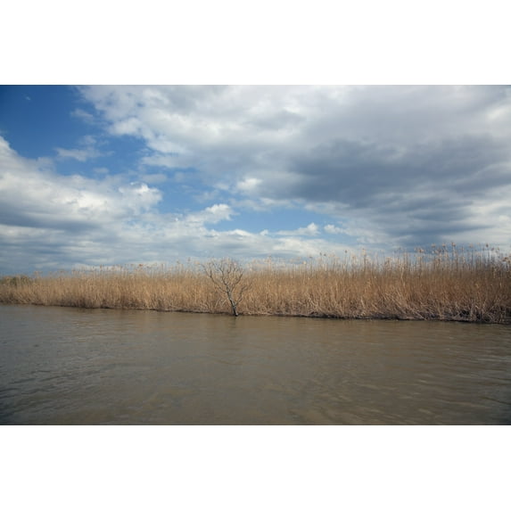 Print: Delta Waterway In Mobile, Alabama, 2010