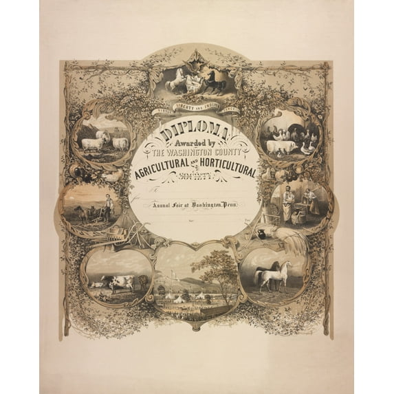 Print: Diploma Awarded By The Washington County Agricultural And