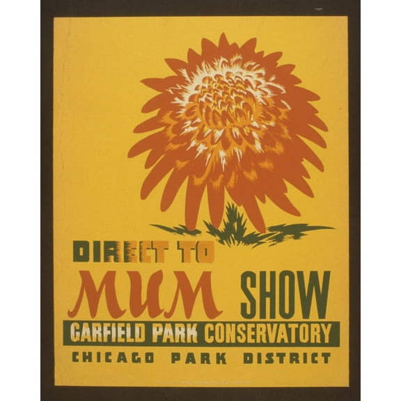 Print: Direct To Mum Show, Garfield Park Conservatory, circa 1936