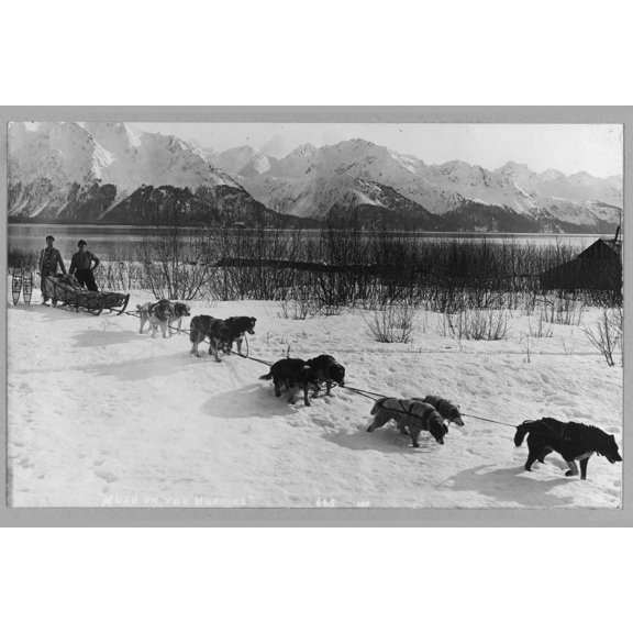 Print: Dog Team, circa 1900