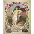 thumbnail image 1 of Print: Dr. Roback's Stomach Bitters Unrivaled, 1866, 1 of 4