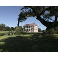 thumbnail image 1 of Print: Drayton Hall Plantation, Charleston, South Carolina, 2006, 1 of 4