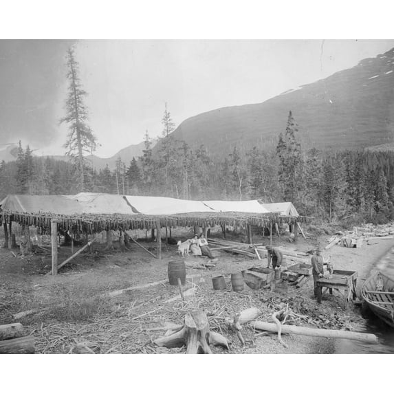 Print: Drying Salmon, circa 1900
