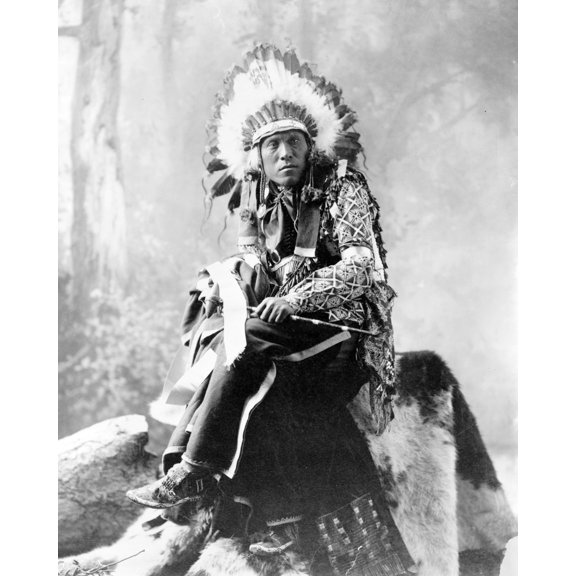 Print: Eagle Bear, Full-Length Portrait, Seated, Facing Front, 1900
