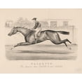 thumbnail image 1 of Print: Falsetto: By Enquirer, Dam Farfaletta, By Imp Australian, 1879, 1 of 4