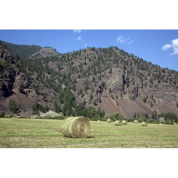 Print: Farm Scene In Rural Montana, 2009