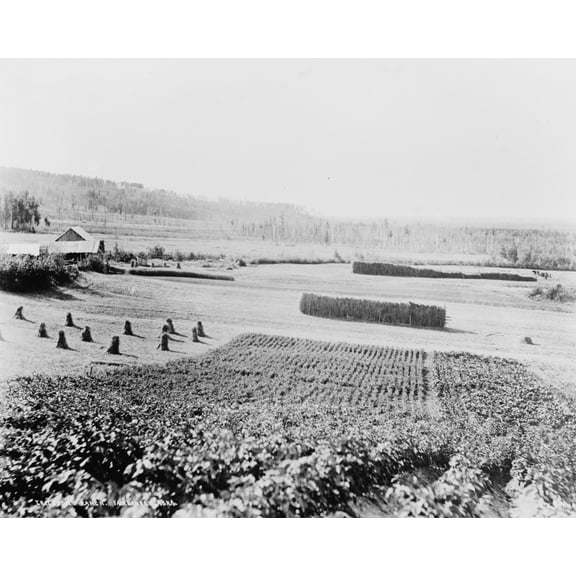 Print: Farming Scene, Alaska, circa 1918