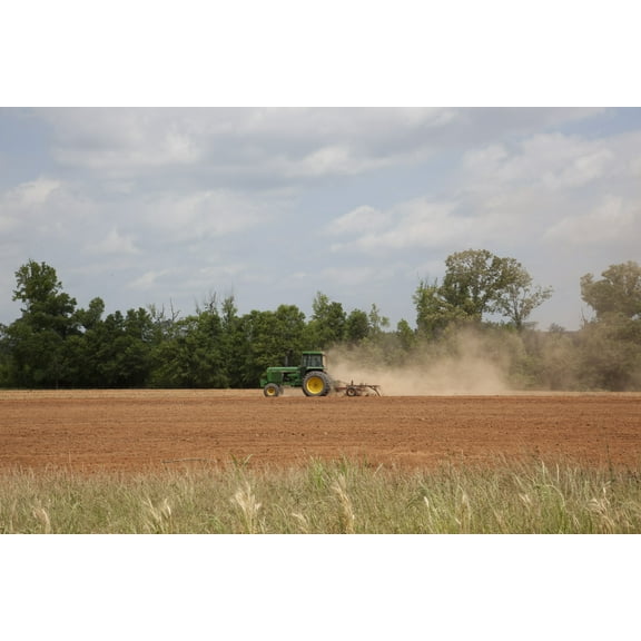 Print: Farmland In Monroe County, Alabama, 2010