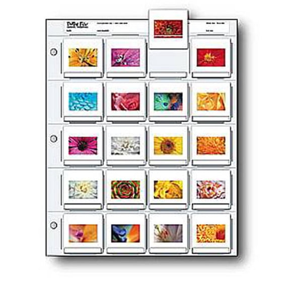 Print File 35mm Slide Pages Holds Twenty 2x2" Mounted Transparencies, Top Loading, Pack of 25