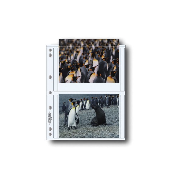 Print File 57-4P 5x7 Photo Preservers (Box of 500)