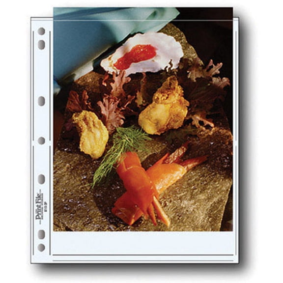 Print File Archival Photo Pages Holds Two 8x10" Prints, Pack of 100