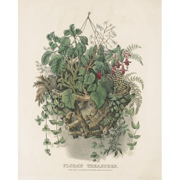 Print: Flora's Treasures, circa 1856