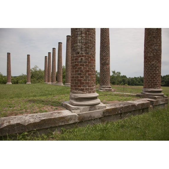 Print: Forks Of Cypress, Also Known As Forks Of The Cypress, A Greek