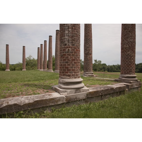 Print: Forks Of Cypress, Also Known As Forks Of The Cypress, A Greek