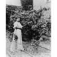thumbnail image 1 of Print: Frances Benjamin Johnston, By Rose Bushes, circa 1890-1910, 1 of 4