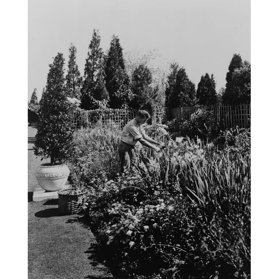 Print: Gardener Tending Floral Border, Posed To Illustrate Rudyard