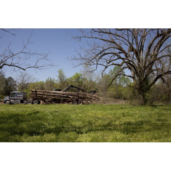 Print: Gee's Bend, Alabama, 2010