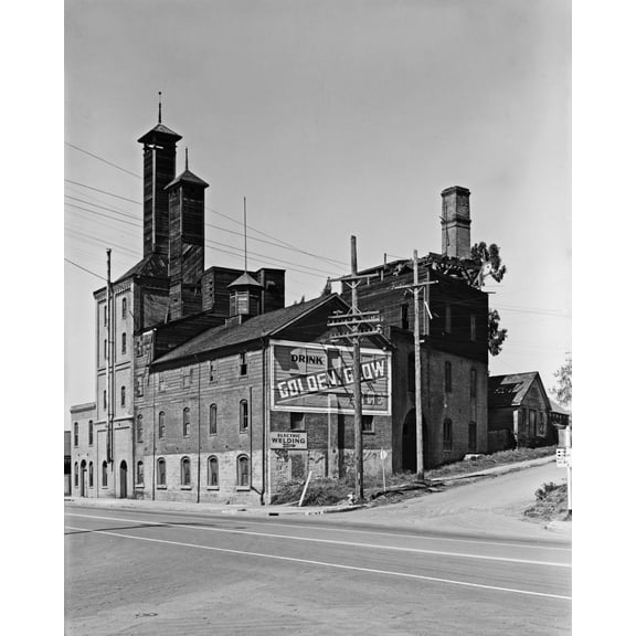 Print: Golden West Brewery, Golden Glow Beer, California