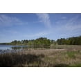 thumbnail image 1 of Print: Grand National Golf Course, Part Of The Robert Trent Jones Trail, 1 of 4