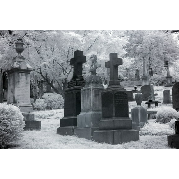 Print: Gravestones At Oak Hill Cemetery, Washington, D.C., 2010