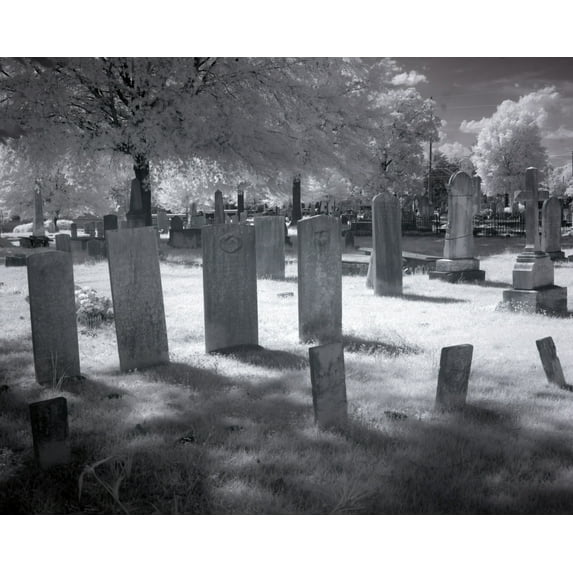 Print: Greenwood Cemetery Is The Original Cemetery In Tuscaloosa, Alabama