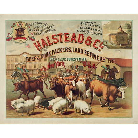 Print: Halstead & Co. Beef & Pork Packers, Lard Refiners & Co.