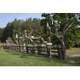thumbnail image 1 of Print: Hillbilly Mall, Tuskegee, Alabama, 2010, 1 of 4