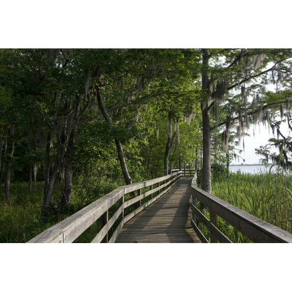 Print: Historic Blakeley State Park Located On The Tensaw River In Alabama