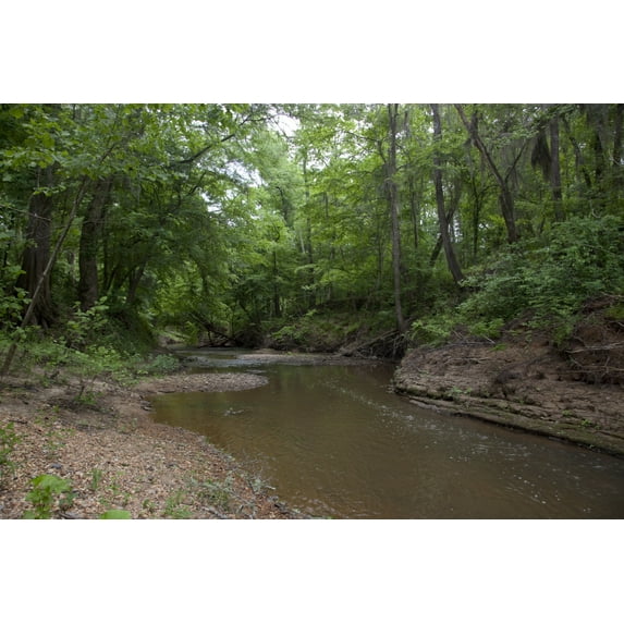 Print: Historic Rikard's Mill Is A Truly Historic Site Near Beatrice