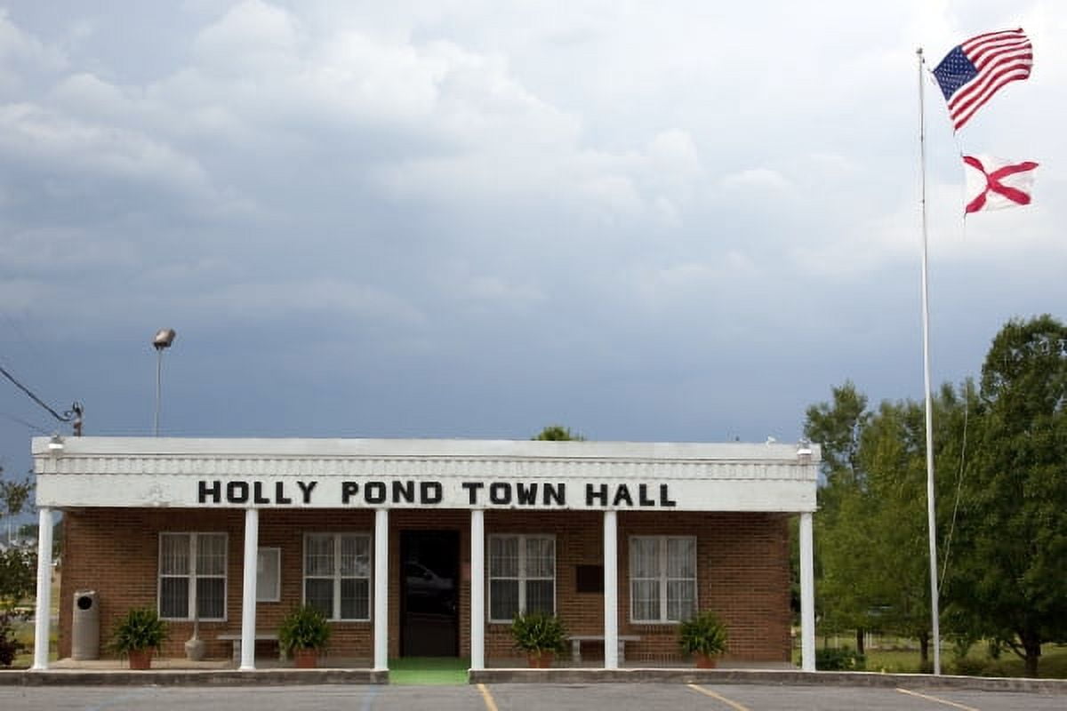 Print Holly Pond Town Hall, Holly Pond, Alabama, 2010