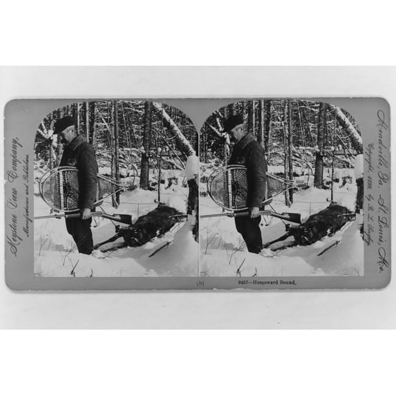 Print: Homeward Bound, 1899