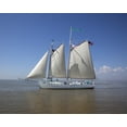 thumbnail image 1 of Print: Joshua Is A Classic 72' Wooden Schooner Sailing On Mobile Bay, 1 of 4