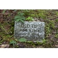 thumbnail image 1 of Print: Key Underwood Coon Dog Memorial Graveyard, Colbert County, Alabama, 1 of 4