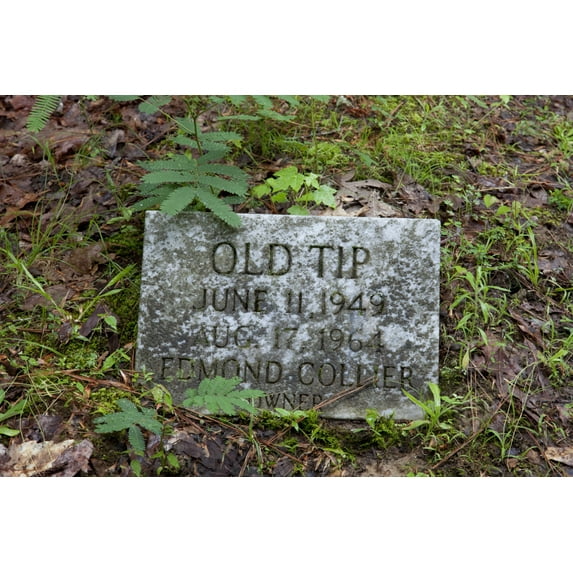 Print: Key Underwood Coon Dog Memorial Graveyard, Colbert County, Alabama