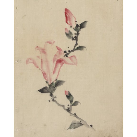 Print: Large Pink Blossom On A Stem With Three Additional Buds, circa 1830