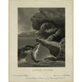 thumbnail image 1 of Print: Little Otters, 1877, 1 of 4