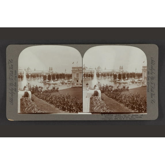 Print: Looking Down On A Scene Of Beauty, World's Fair, St. Louis, 1904