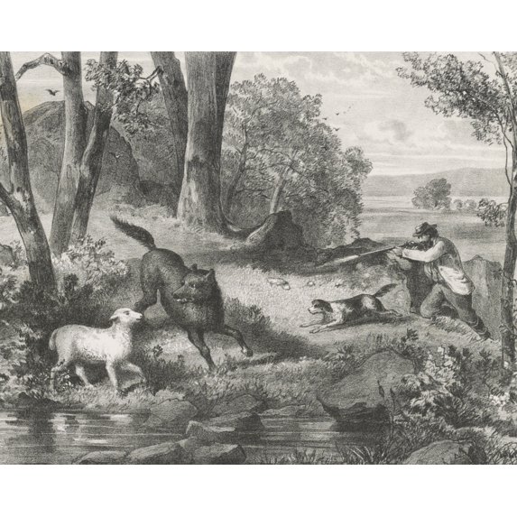 Print: Lost Lamb Rescued