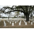 thumbnail image 1 of Print: Magnolia Cemetery, Mobile, Alabama, 2010, 1 of 4