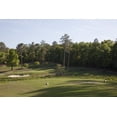 thumbnail image 1 of Print: Magnolia Grove Golf Course Located In Mobile, Alabama, 2010, 1 of 4