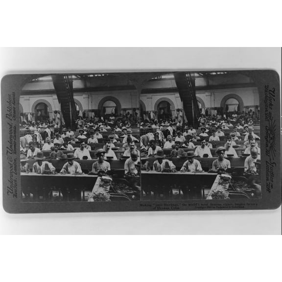 Print: Making Pure Havanas, The World's Most Famous Cigars, Largest