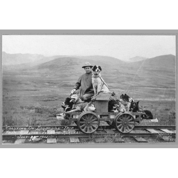 Print: Man And Dogs On Rail Cart Trip From Shelton To Nome, 1912