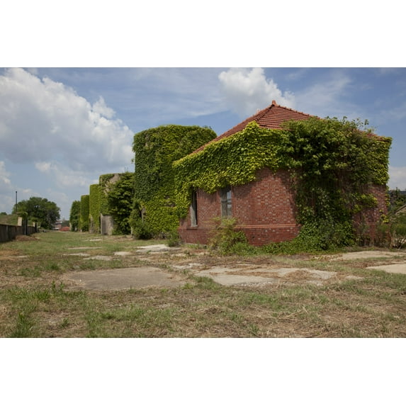 Print: Mcmillan Reservoir, Washington, D.C., 2010