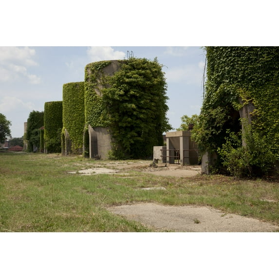 Print: Mcmillan Reservoir, Washington, D.C., 2010