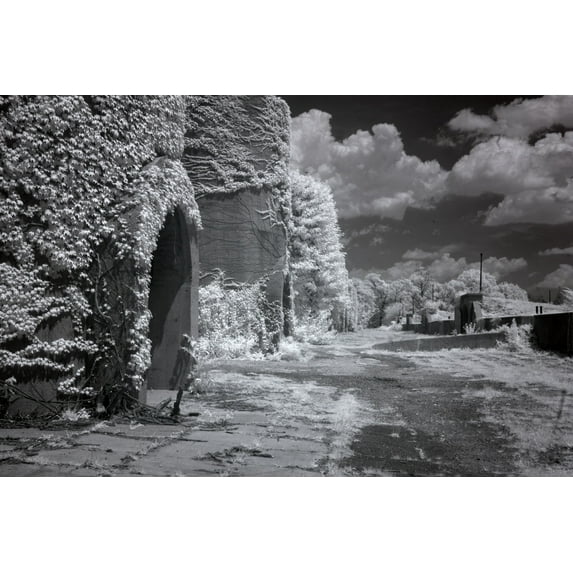 Print: Mcmillan Reservoir, Washington, D.C., 2010
