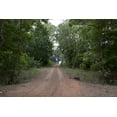thumbnail image 1 of Print: Meadowbank Farm Located On Highway 84 In A Bend Of The Alabama, 1 of 4
