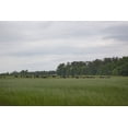 thumbnail image 1 of Print: Meadowbank Farm Located On Highway 84 In A Bend Of The Alabama, 1 of 4