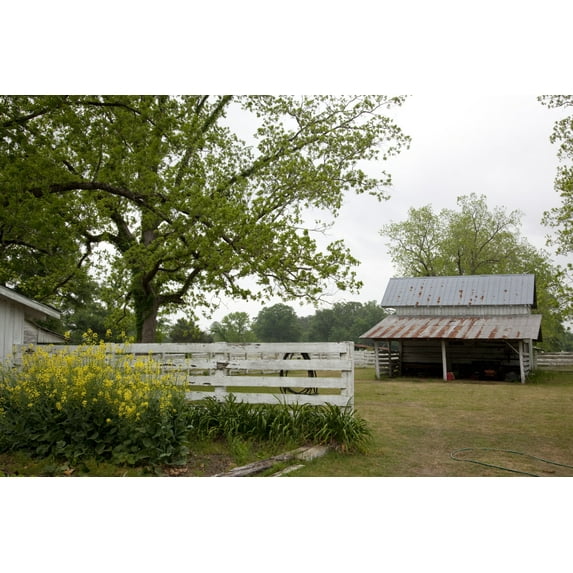 Print: Meadowbank Farm Located On Highway 84 In A Bend Of The Alabama